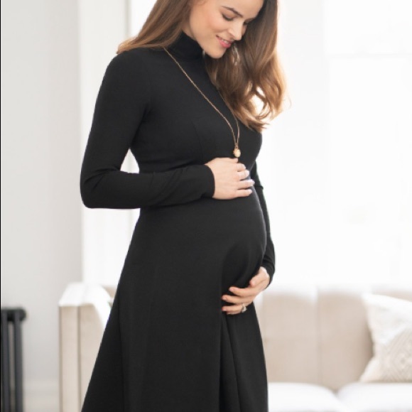 Isabella Oliver Maternity Dress NWOT - Picture 1 of 9